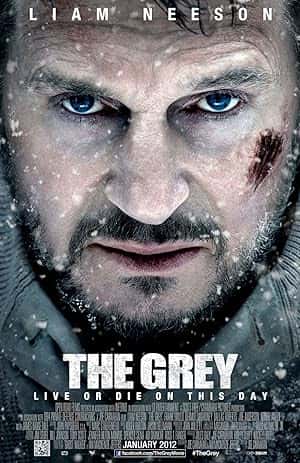 The Grey