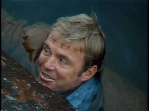 Sometimes a Great Notion