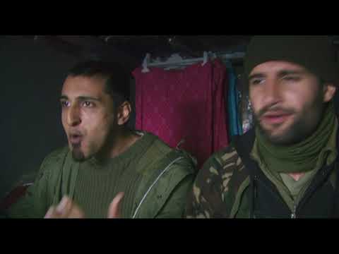 Four Lions