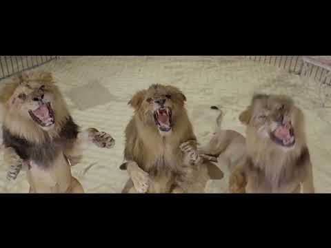 Circus World