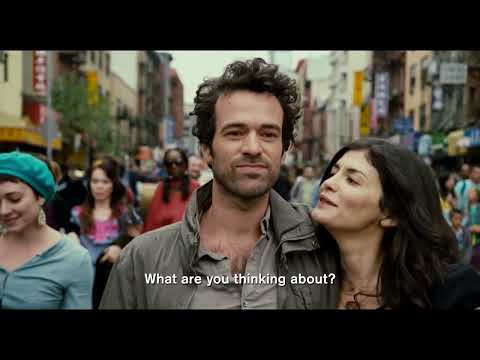 Chinese Puzzle
